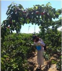 长春2121非凡化工科技开发有限公司