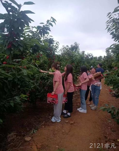 15c2202690d95dbb357f86b605869b2